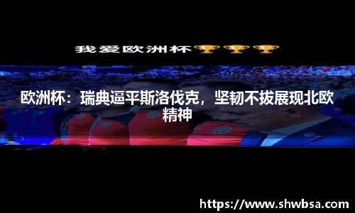 欧洲杯：瑞典逼平斯洛伐克，坚韧不拔展现北欧精神