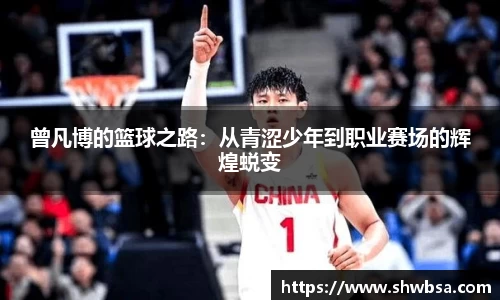 星空体育官网