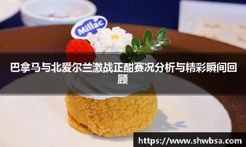 星空体育官网